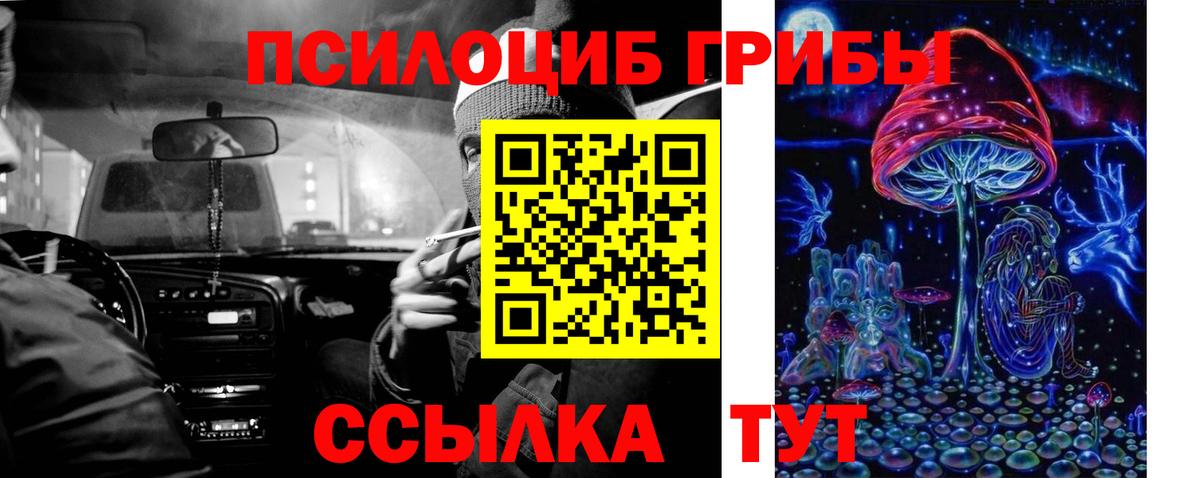 Балашов  Псилоцибиновые грибы Cubensis  Вход с VPN 